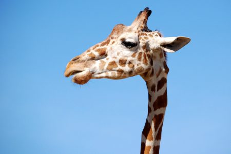 Sensory Day at Belfast Zoo – Ballymena Today