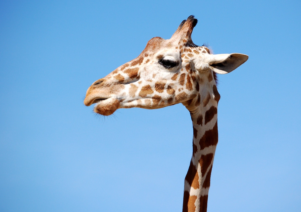 Sensory Day at Belfast Zoo – Ballymena Today