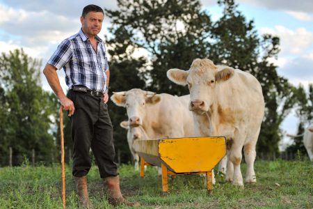 Farm Family Key Skills – Lifesaving skills – Ballymena