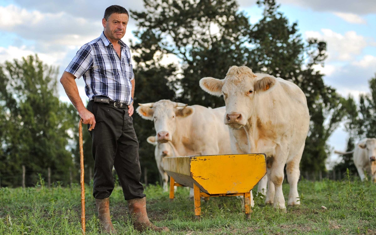 Farm Family Key Skills – Lifesaving skills – Ballymena