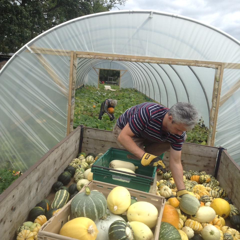 Pumpkin and squash season – Slemish market garden Ballymena