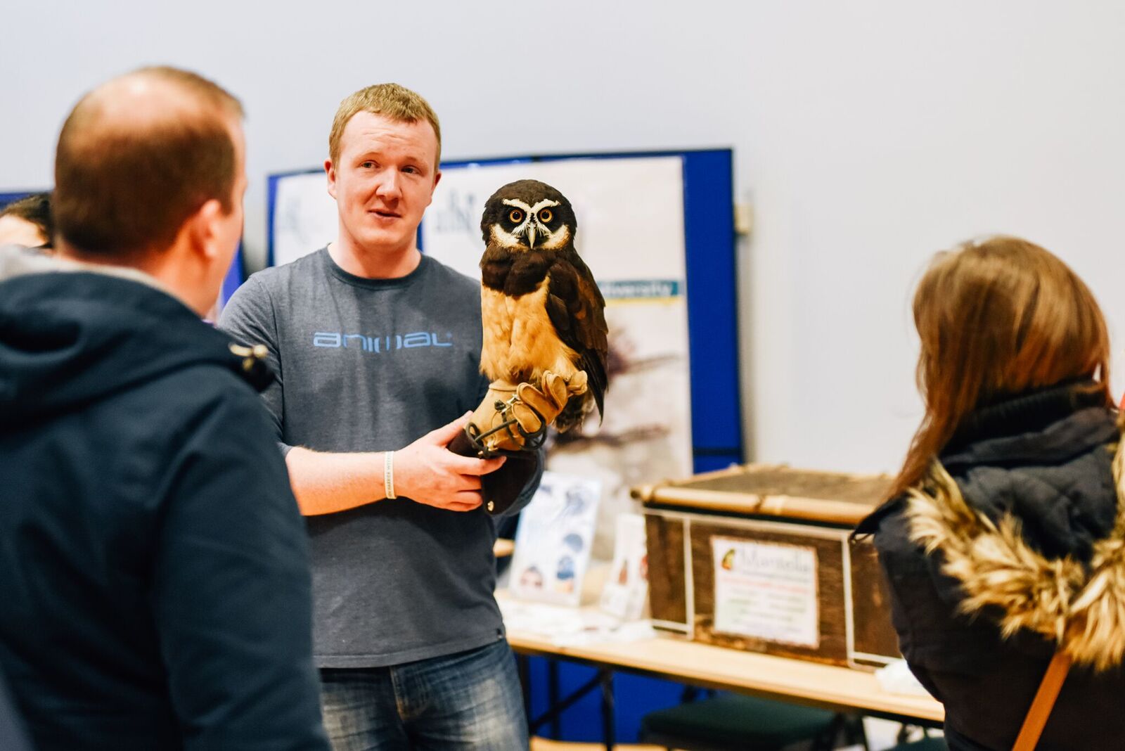 Ballymena gears up for 2019 NI Science Festival