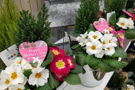 Mother’s Day Treats – Ballymena
