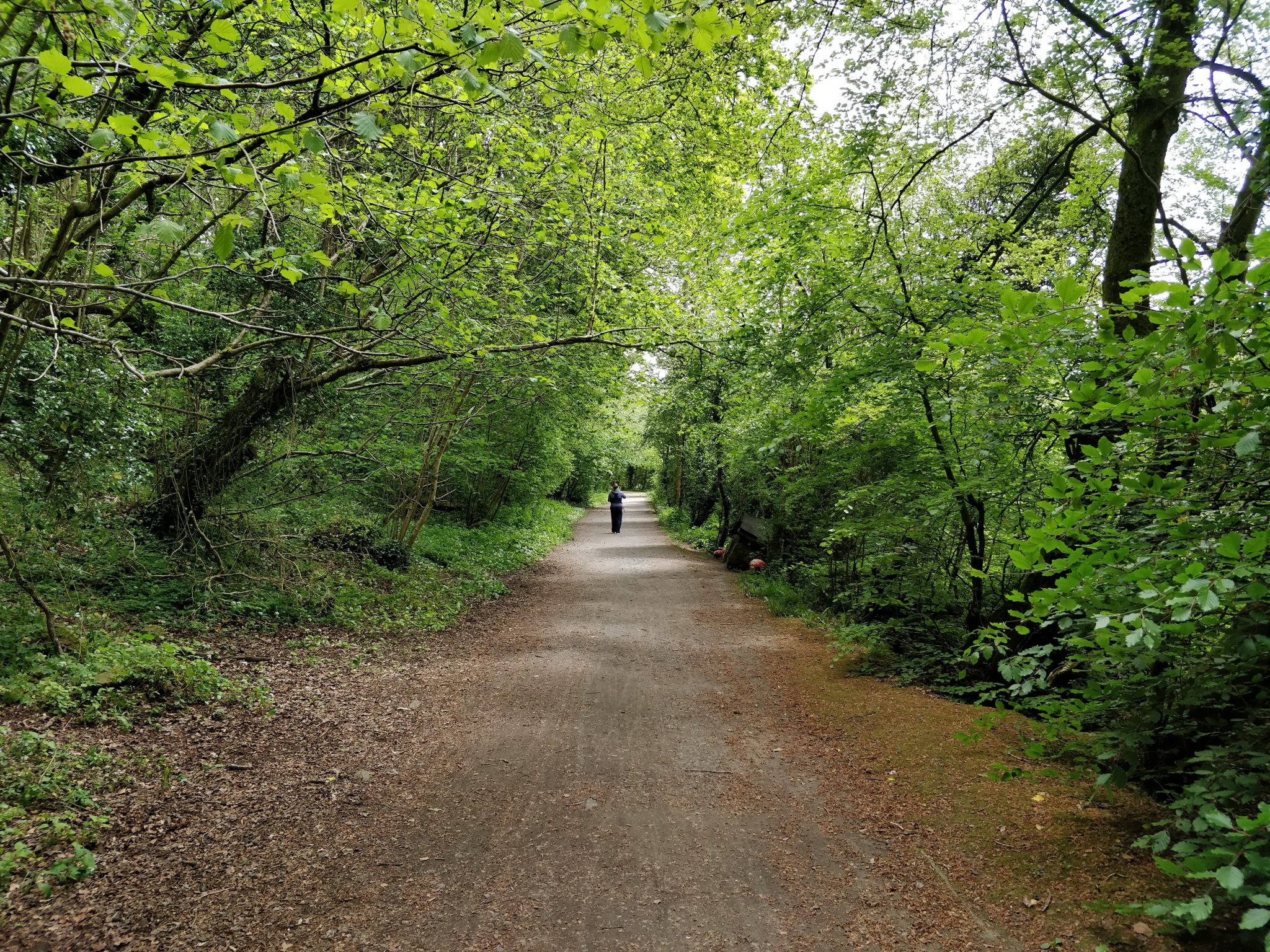 Wild About Food event – Riverside Walk, Cullybackey