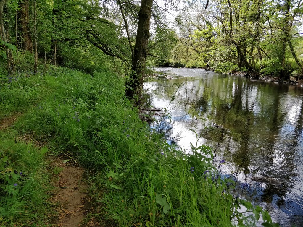 Wild About Food event - Riverside Walk, Cullybackey