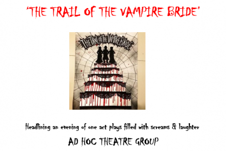 Ad Hoc Theatre Group presents ‘A Light Portmanteau’ at The Braid