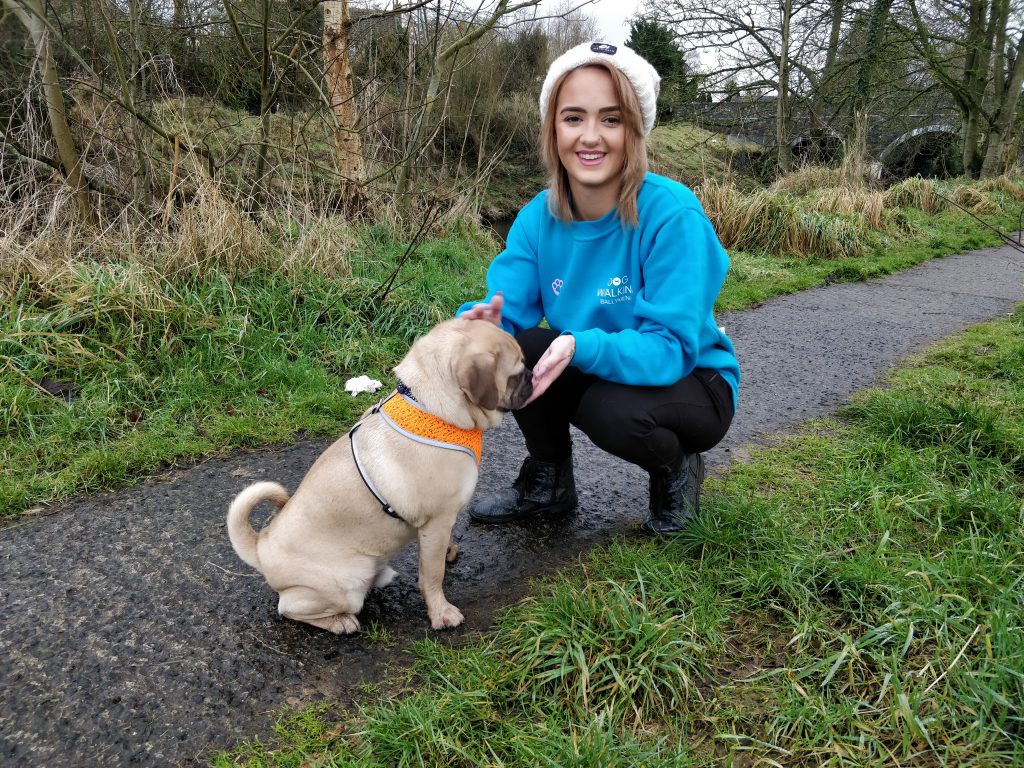 Time for Walkies!! - Dog Walking Ballymena