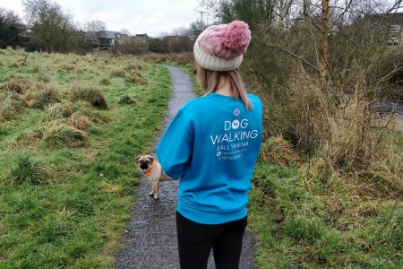 Time for Walkies!! – Dog Walking Ballymena